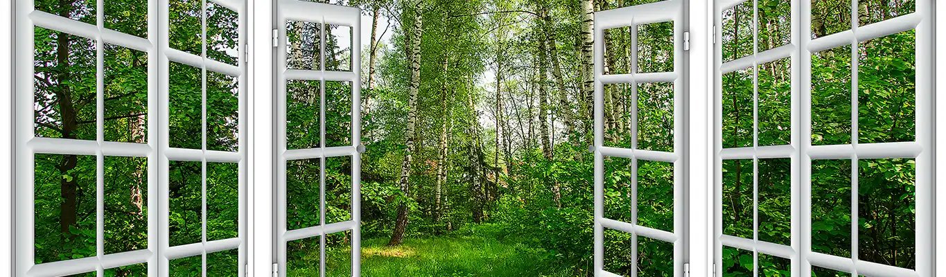 Professional replacement windows installed by JTB Construction in Charleston SC, showing white frame windows with forest view